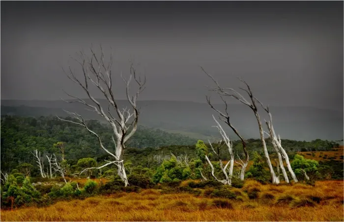 Framed Print : Approaching storm in the central highlands of Tasmania, Australia