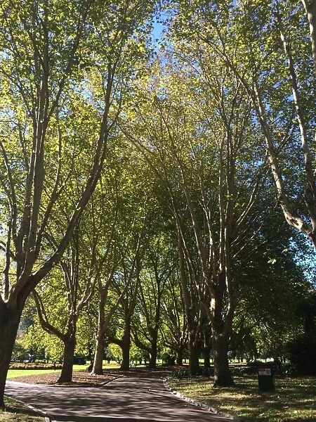 Arbor Day. Queen Victoria Gardens Melbourne Australia