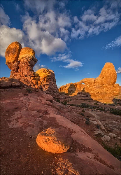 Arches National Park in Utah, South-western United States, with a mantle of rare winter snow