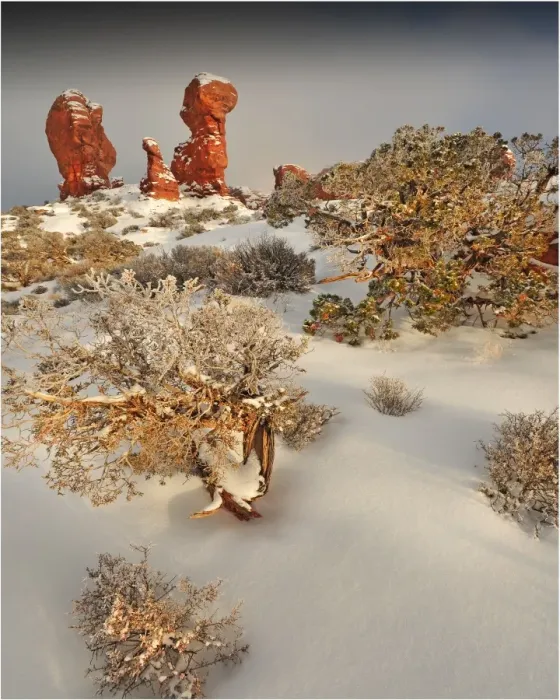 Framed Print : Arches National Park in Utah, South-western United States, with a mantle of rare winter snow