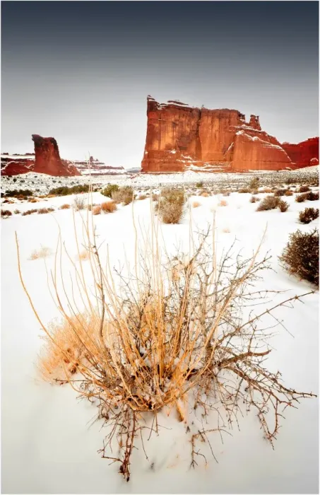 Framed Print : Arches National Park in Utah, South-western United States, with a mantle of rare winter snow Framed Print : Arches National Park in Utah, South-western United States, with a mantle of rare winter snow