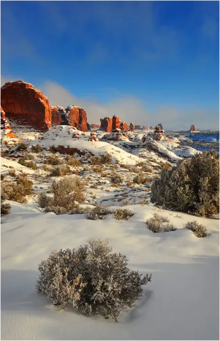 Framed Print : Arches National Park in Utah, South-western United States, with a mantle of rare winter snow Framed Print : Arches National Park in Utah, South-western United States, with a mantle of rare winter snow