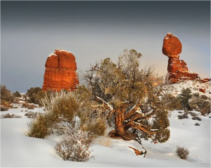 Framed Print : Arches National Park in Utah, South-western United States, with a mantle of rare winter snow