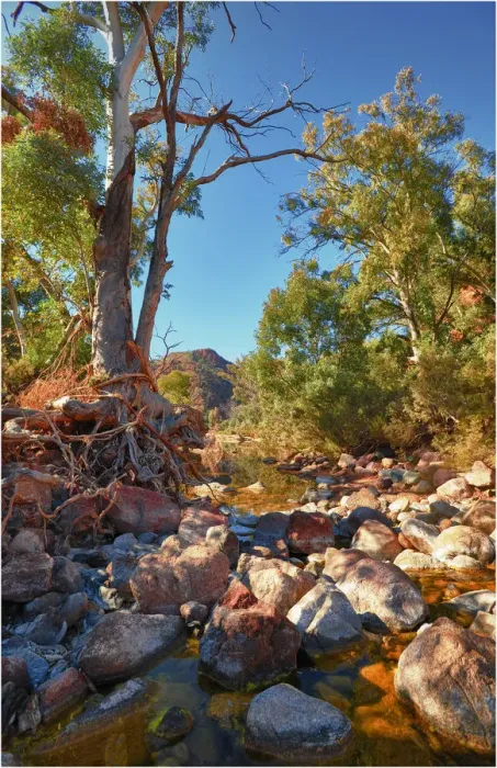 Framed Print : Arkaroola, an area of incredible semi arid wilderness in the northern Flinders Ranges of South Australia Framed Print : Arkaroola, an area of incredible semi arid wilderness in the northern Flinders Ranges of South Australia