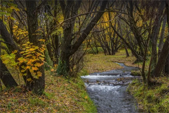 Framed Print : Arrowtown Autumn