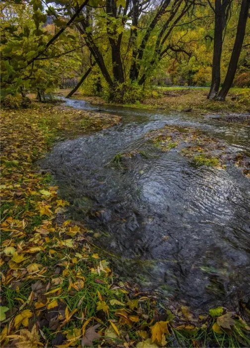 Framed Print : Arrowtown Autumn colours