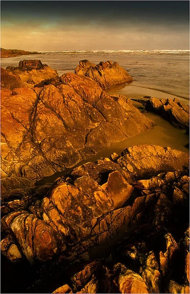 Arthur river coastline, north west Tasmania, Australia