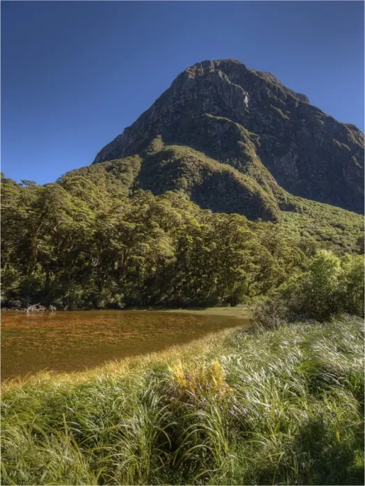 Framed Print : The Arthur river South Island of New Zealand