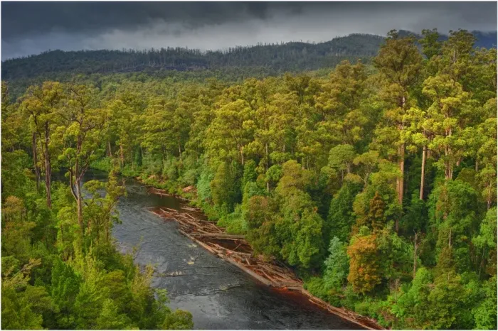 Framed Print : Arve river forest, Southern Tasmania