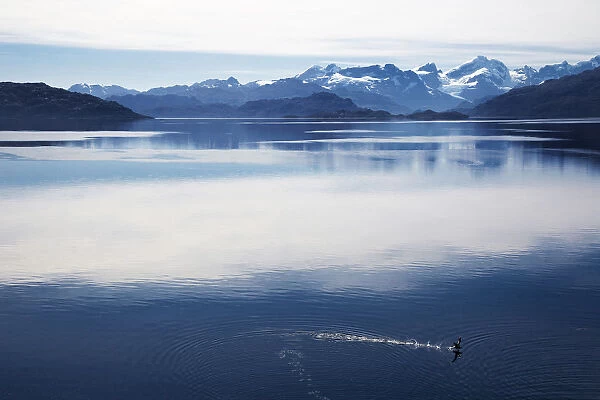 assing Through Wellington Island, Bernardo O Higgins National Park (Chilean Fjords), Magallanes Region, Patagonia, Chile