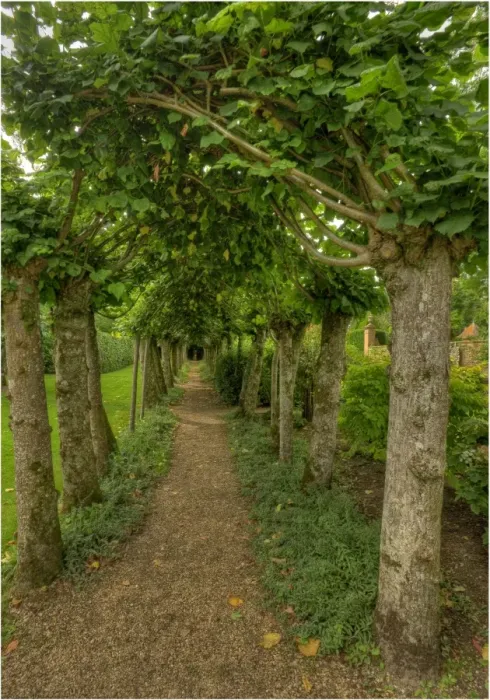 Framed Print : Athelhampton Arbor and Gardens England Framed Print : Athelhampton Arbor and Gardens England
