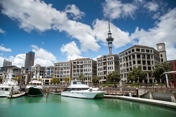 Auckland from the bay