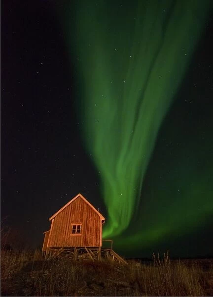 Aurora Borealis in the Lofoten Peninsular, Arctic circle, Norway