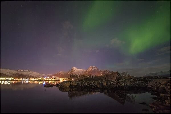 Aurora Borealis at night, Lofoten Peninsular, Norway