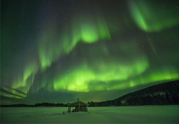 Aurora Borealis in the night skies at Degerselet, Lapland, Sweden