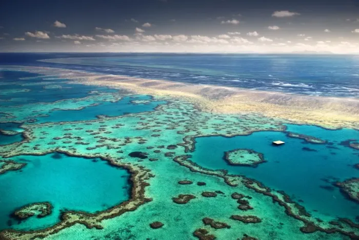 Framed Print : Australia - Great Barrier Reef Framed Print : Australia - Great Barrier Reef