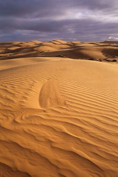 Australia, Great Victoria Desert, sand dune