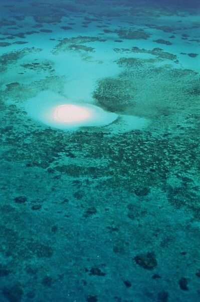 Australia, Queensland, Great Barrier Reef, aerial view