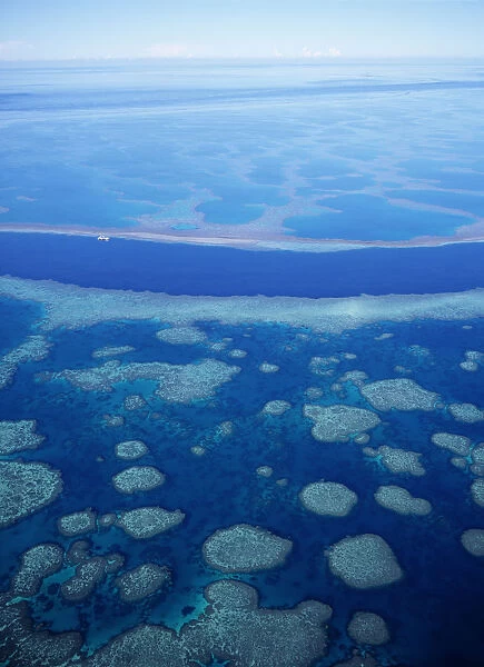 Australia, Queensland, Great Barrier Reef