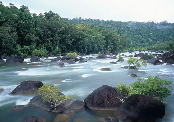 Australia, Queensland, Tully River and rainforest (long exposure)