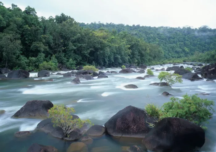 Framed Print : Australia, Queensland, Tully River and rainforest (long exposure)