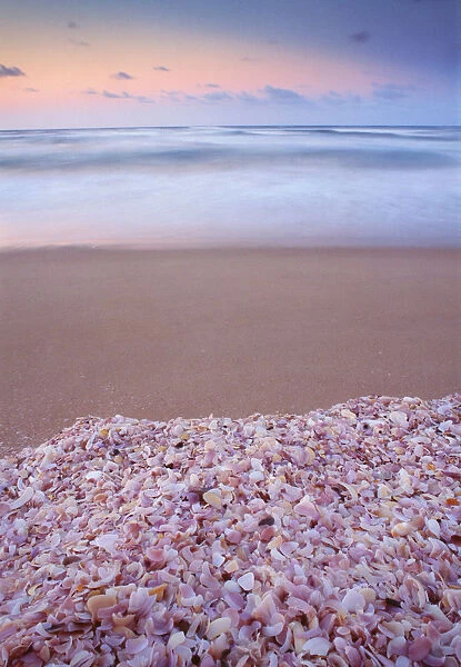 Australia, South Australia, Coorong National Park, shells on beach