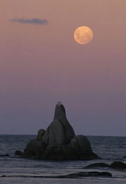 Australia, Tasmania, Bay of Fires, moonrise over Sloop Reef
