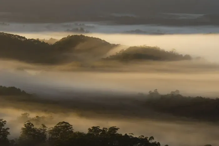 Framed Print : Australia, Tasmania, Southwest National Park, Arthur Plains in mist Framed Print : Australia, Tasmania, Southwest National Park, Arthur Plains in mist