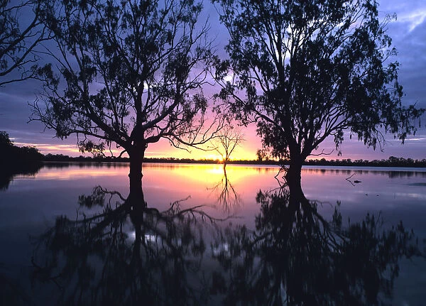 Australia, Victoria, flooded Hattah Lakes at sunset