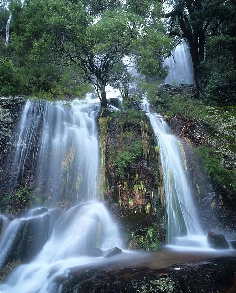 Australia, Victoria, Upper Dandongadale Falls below Mt. Cobbler