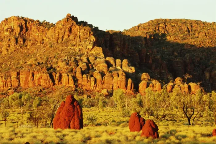 Framed Print : Australia, Western Australia, Purnululu National Park, termite mounds