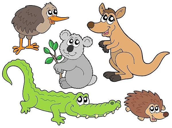 Australian animals collection - isolated illustration