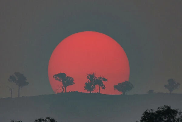 Australian bushfire sunset