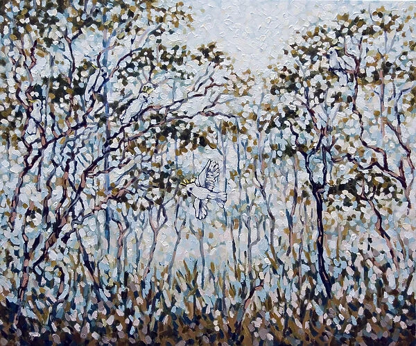 Australian Cockatoos in Mist Painting