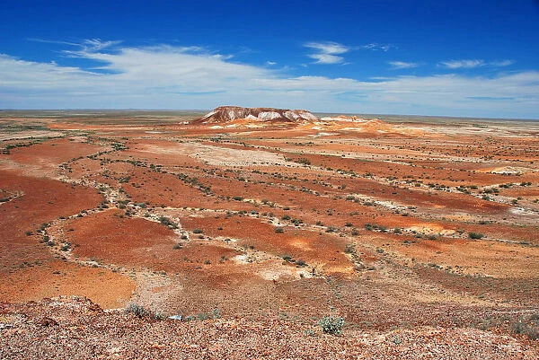 Australian desert