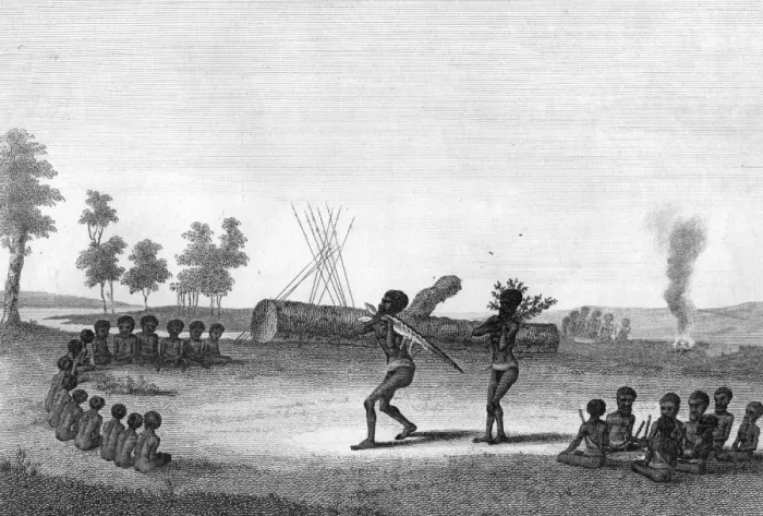 Framed Print : Australian Natives