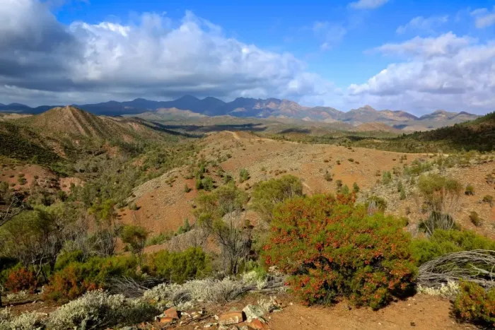 Framed Print : Australian Outback. Flinders Ranges