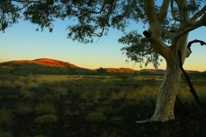 Framed Print : Australian Sunset