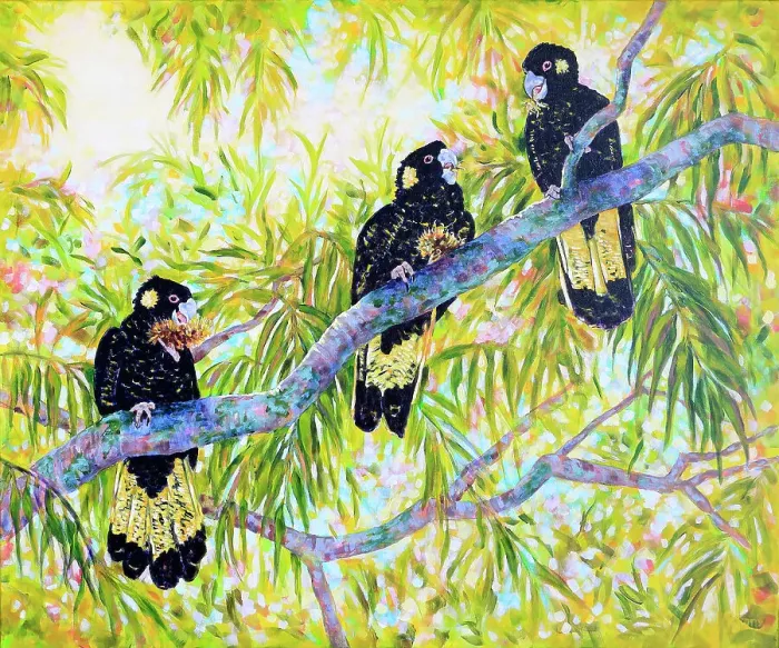 Framed Print : Australian Yellow-tailed Black Cockatoos Feeding in Tree Acrylic Painting