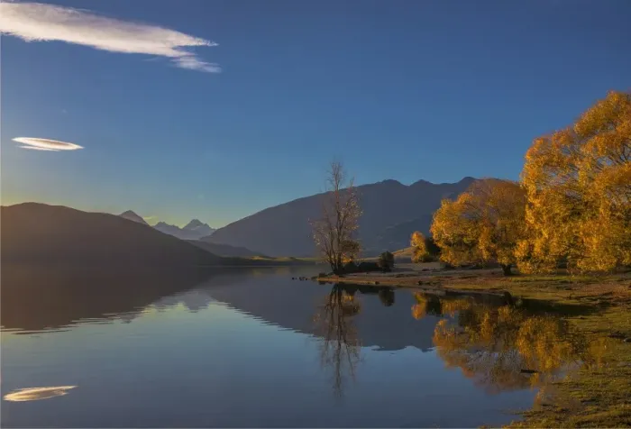 Framed Print : Autumn colours around Glendhu bay, near lake Wanaka, South Island of New Zealand