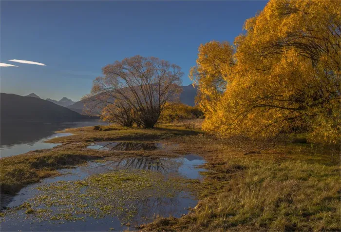 Framed Print : Autumn colours around Glendhu bay, near lake Wanaka, South Island of New Zealand
