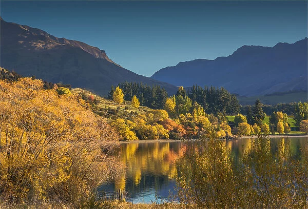 Autumn colours around Glendhu bay, near lake Wanaka, South Island of New Zealand