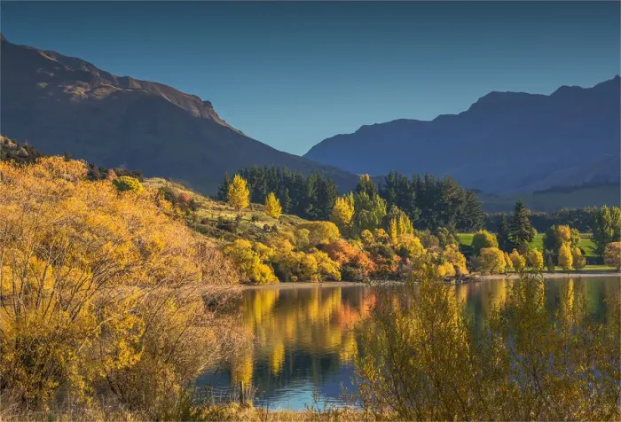 Framed Print : Autumn colours around Glendhu bay, near lake Wanaka, South Island of New Zealand