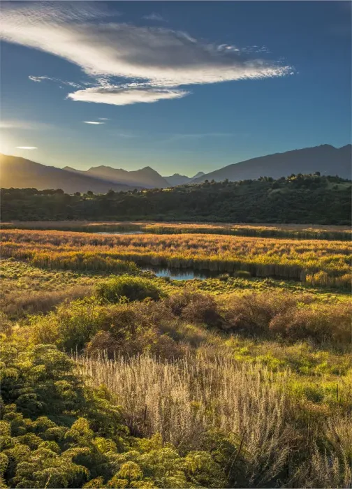 Framed Print : Autumn colours around Glendhu bay, near lake Wanaka, South Island of New Zealand