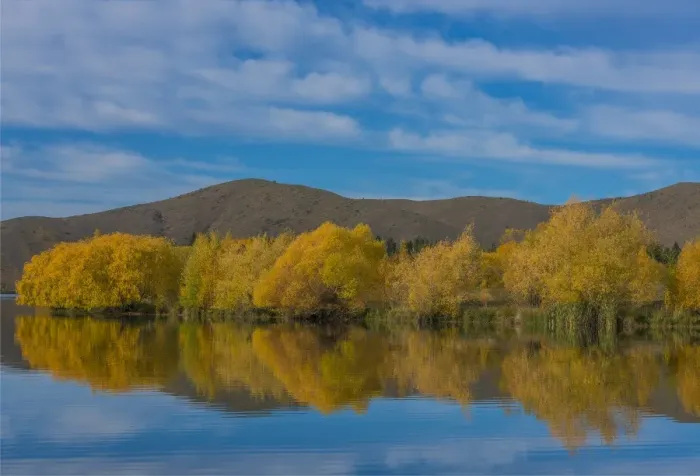 Framed Print : Autumn colours on lake Twizel, south island, New Zealand