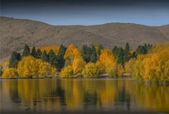 Framed Print : Autumn colours on lake Twizel, south island, New Zealand Framed Print : Autumn colours on lake Twizel, south island, New Zealand