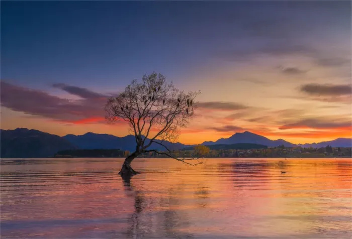 Framed Print : Autumn colours at Lake Wanaka, south Island of New Zealand Framed Print : Autumn colours at Lake Wanaka, south Island of New Zealand