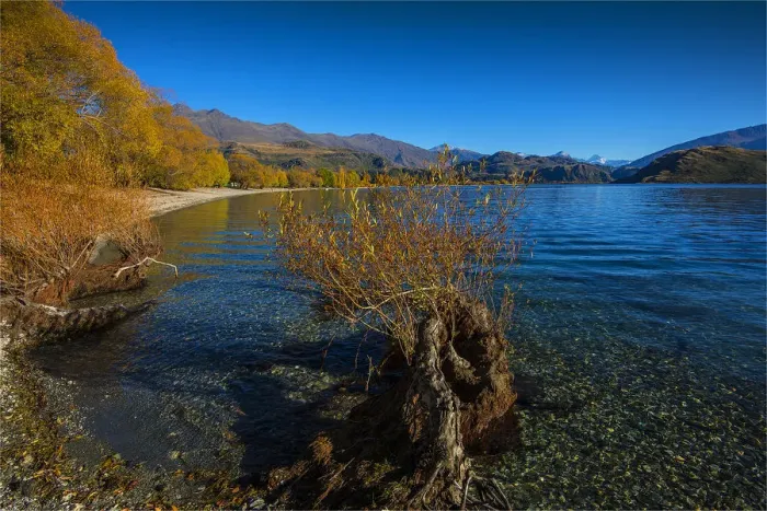 Framed Print : Autumn colours near Wanaka, South Island, New Zealand