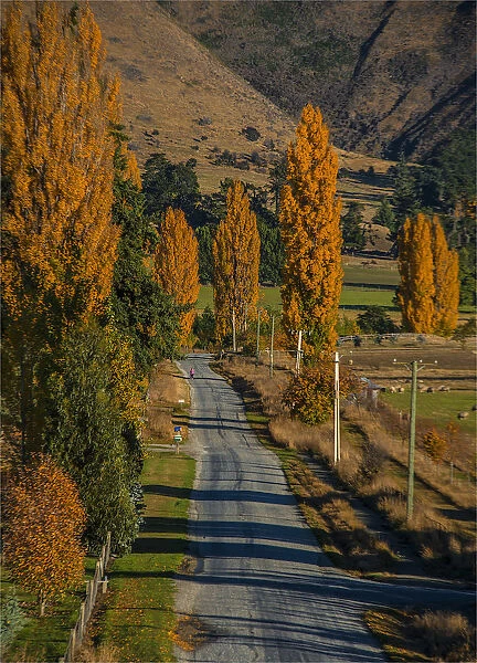 Autumn colours near Wanaka, South Island, New Zealand