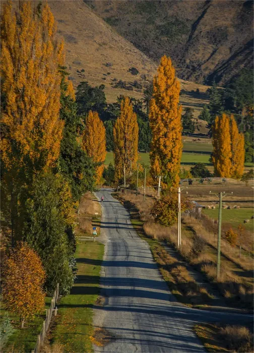 Framed Print : Autumn colours near Wanaka, South Island, New Zealand